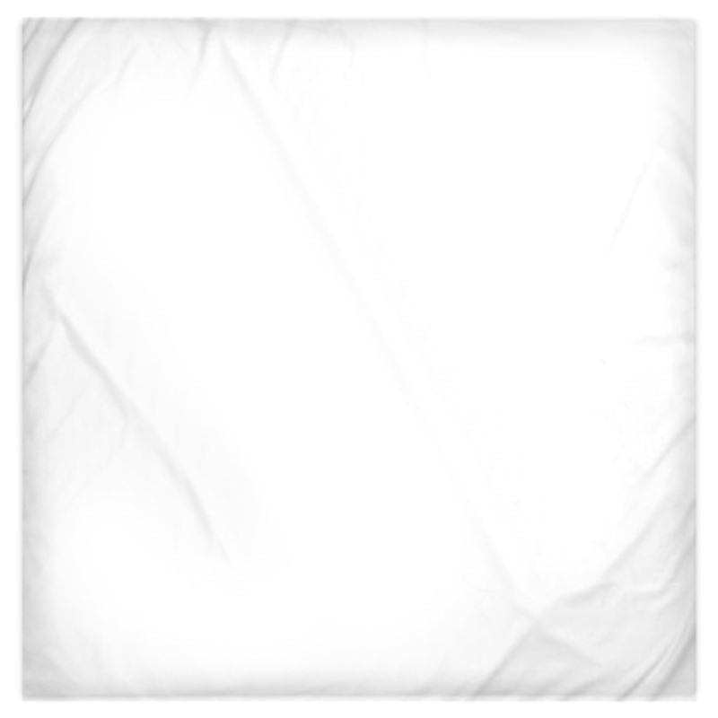 Finest Embrace ~ Silk Duvet Cover